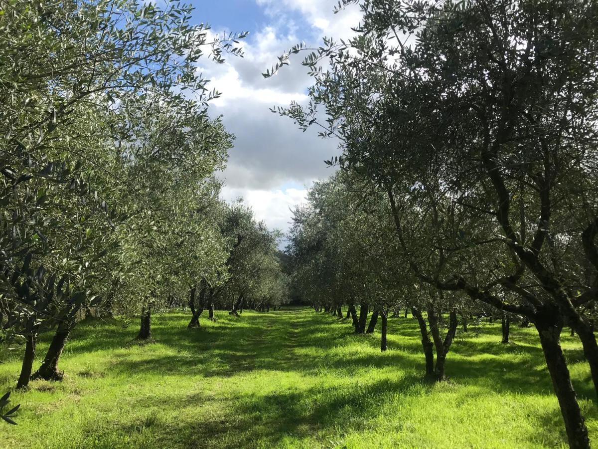 Agriturismo Podere I' Caldino Troghi Экстерьер фото